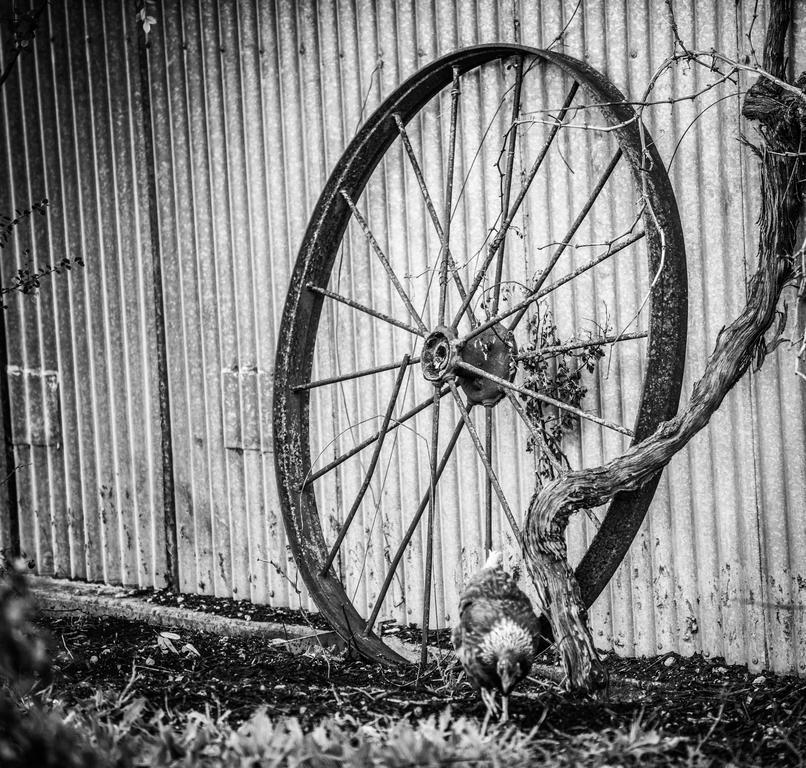 Barossa Vineyard Cottages Tanunda Buitenkant foto