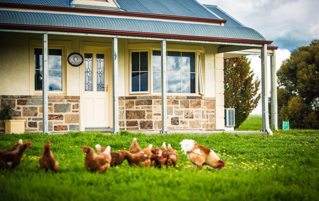 Barossa Vineyard Cottages Tanunda Buitenkant foto