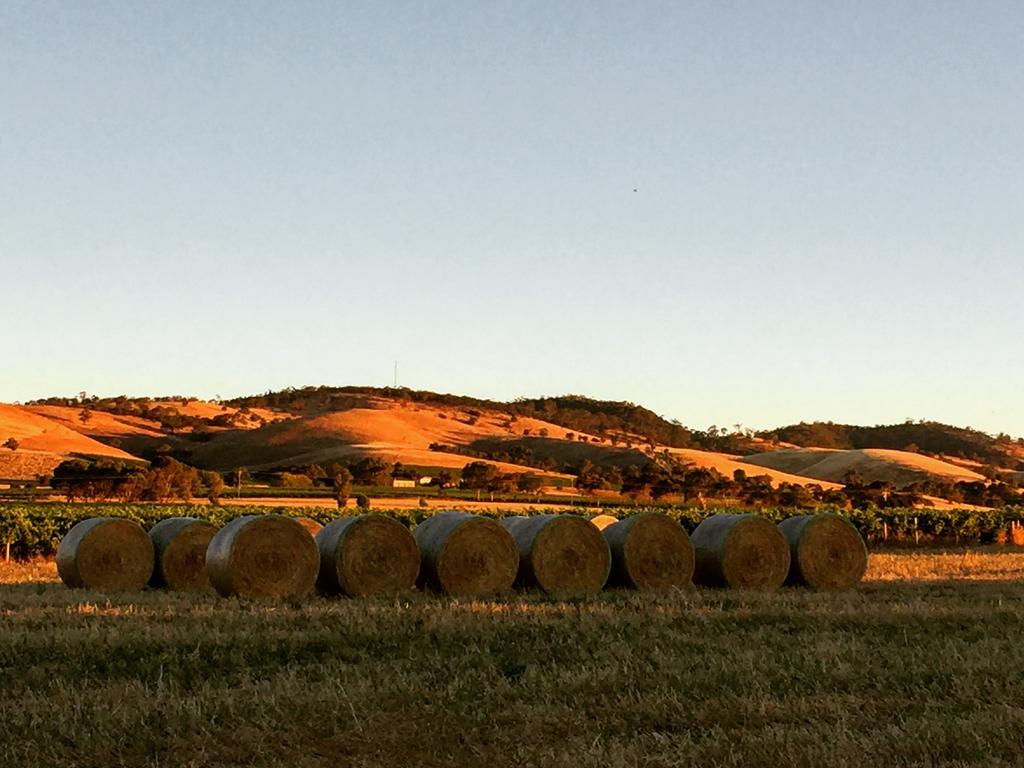 Barossa Vineyard Cottages Tanunda Buitenkant foto