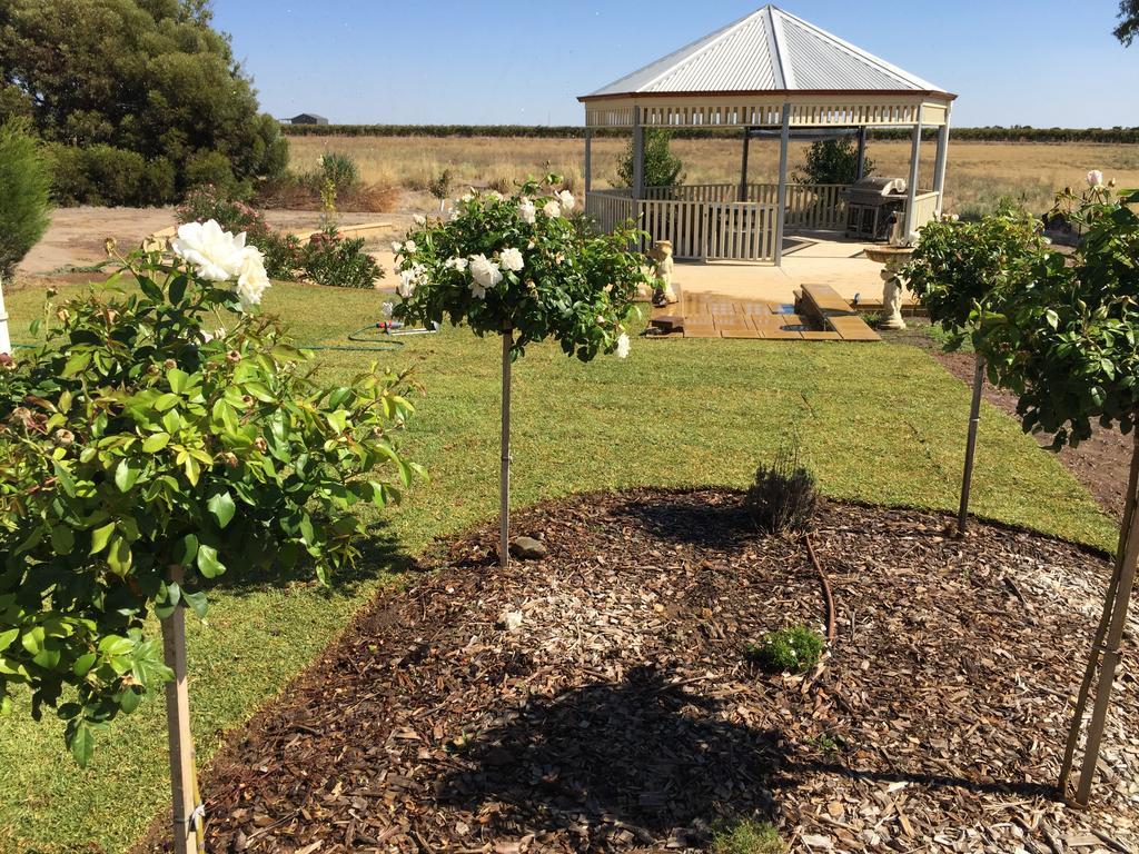 Barossa Vineyard Cottages Tanunda Buitenkant foto