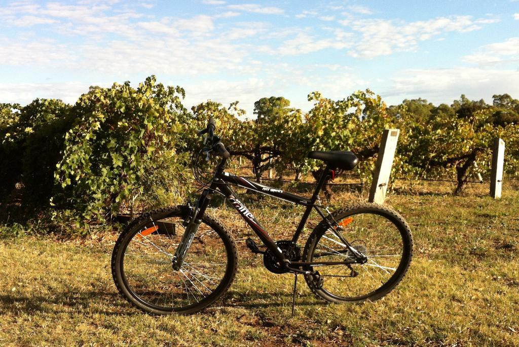 Barossa Vineyard Cottages Tanunda Buitenkant foto