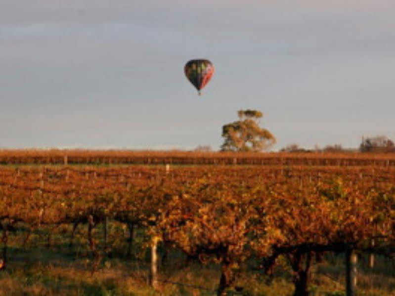 Barossa Vineyard Cottages Tanunda Buitenkant foto