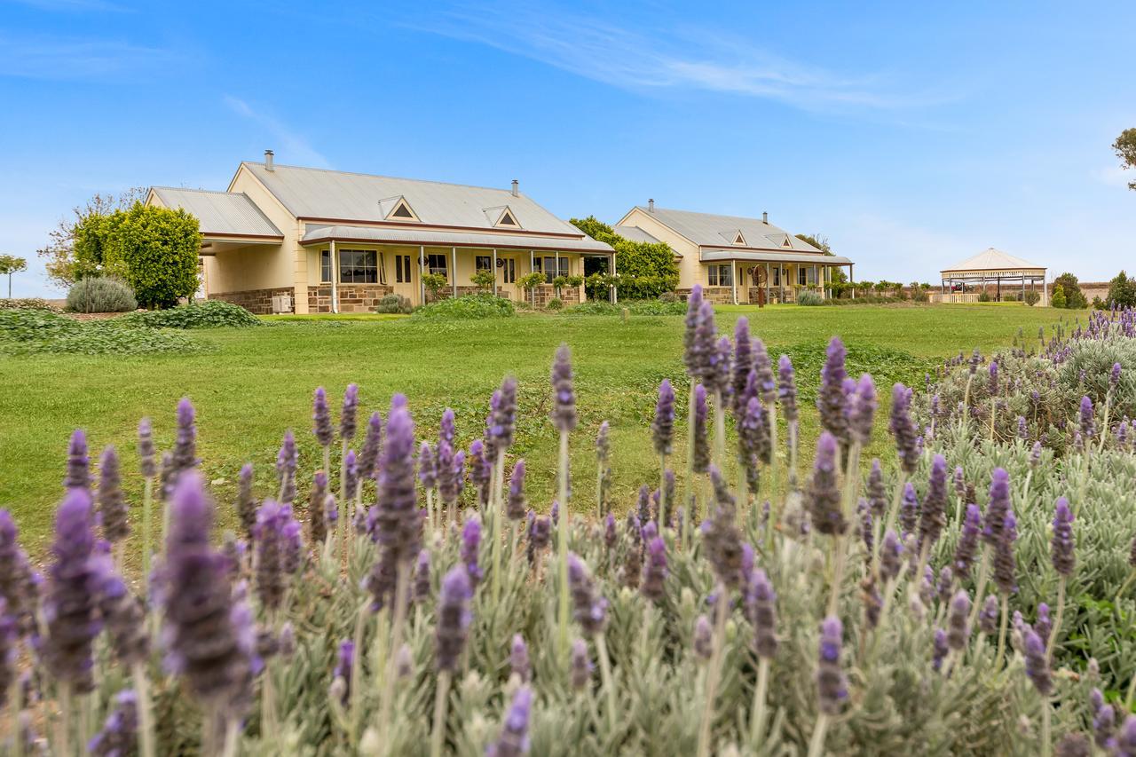 Barossa Vineyard Cottages Tanunda Buitenkant foto
