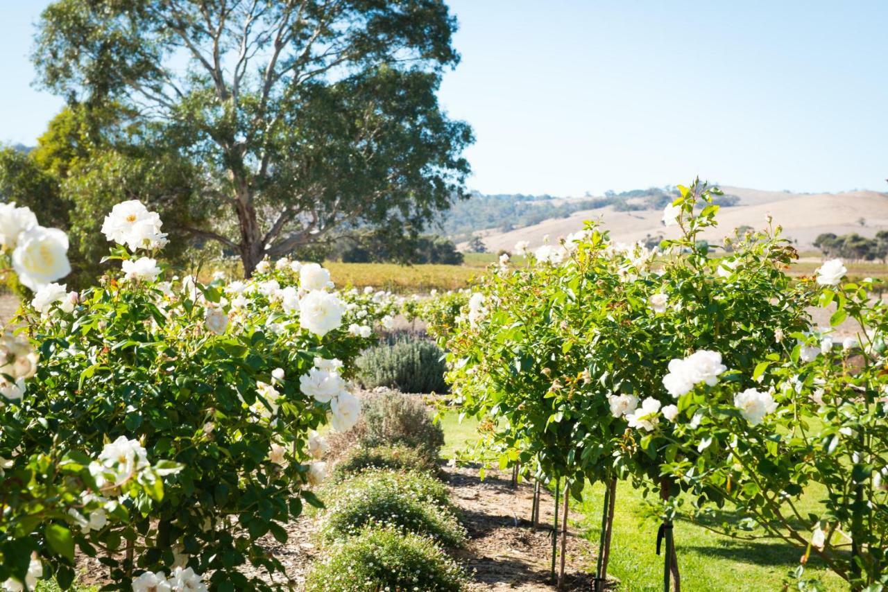 Barossa Vineyard Cottages Tanunda Buitenkant foto