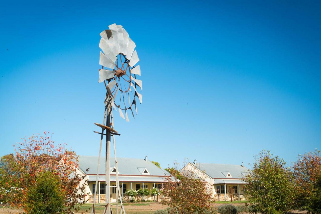 Barossa Vineyard Cottages Tanunda Buitenkant foto